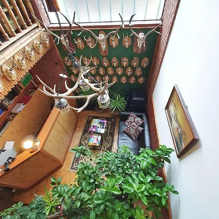 Napsugar Panzio Otel 2*