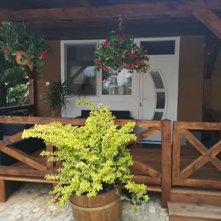 Otel Napsugar Panzio 2*